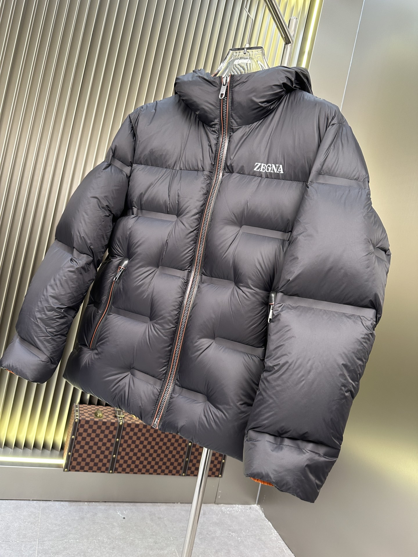 Zegna Down Jackets